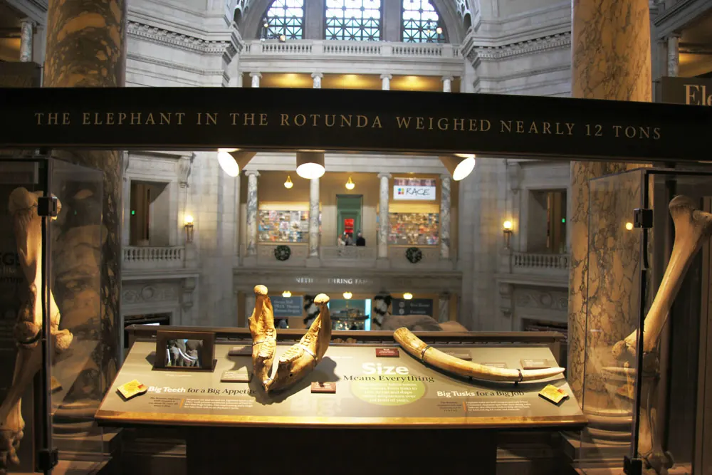 Smithsonian Virtual Tour visual 1