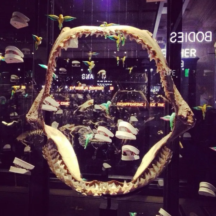 Virtual Museum Examples visual 7