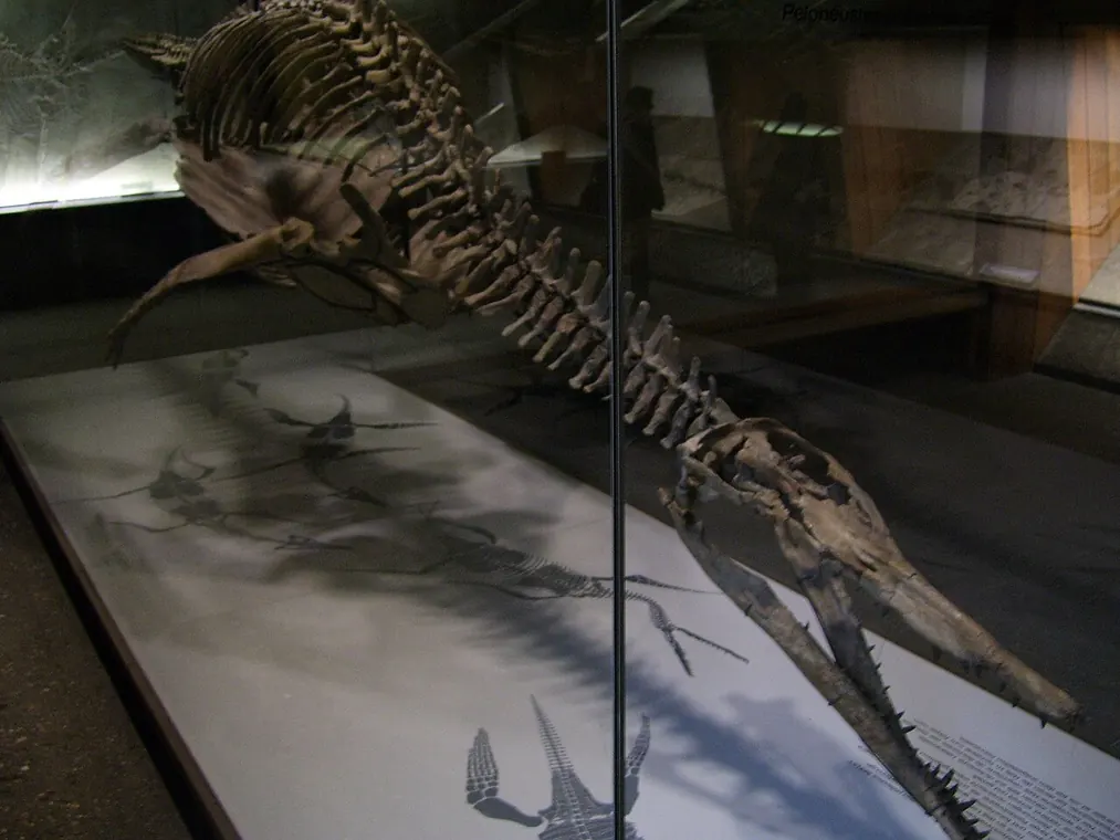 Virtual Museum Tours for Kids visual 3